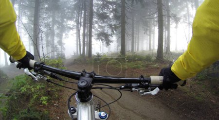 Cyclist in a misty woods.  A man ride bike ialong the road in both side   forest difference trees 