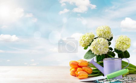 Téléchargez les photos : Bouquet de tulipes, hortensias, arrosoir, gants et truelle de jardin - en image libre de droit