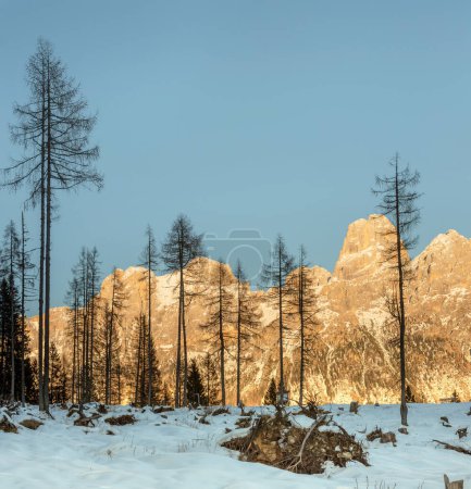 Foto de Dolomitas, Italia - Panorama de Pale di San Martino a última hora de la tarde en invierno - Imagen libre de derechos