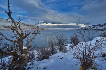 Foto de Paisaje invernal de moutains de Patagonia con nieve. Lago Nordenskjold, Parque Nacional Torres del Paine, Chile. Crepúsculo cielo azul de la noche. Viajar a Chile, colinas en Torres del Paine NP. - Imagen libre de derechos
