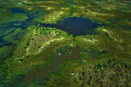 Foto de Paisaje aéreo en el delta del Okavango, Botswana. Lagos y ríos, vista desde el avión. Vegetación verde en Sudáfrica. Árboles con agua en temporada de lluvias
. - Imagen libre de derechos