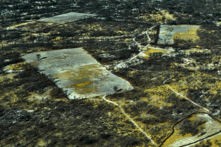 Foto de Día caluroso en África, fuego destruyó la naturaleza, paisaje aéreo en el delta del Okavango, Botswana. Lagos y ríos, vista desde el avión. Vegetación en agua sudafricana en estación seca. Árboles negros carbonizados - Imagen libre de derechos