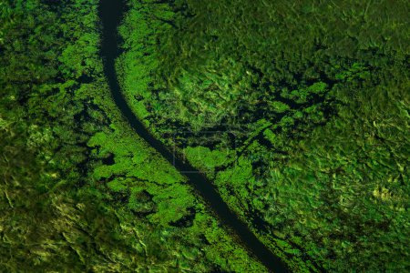 Photo for Green river, aerial landscape in Okavango delta, Botswana. Lakes and rivers, view from airplane. Vegetation in South Africa. Trees with water in rainy season. - Royalty Free Image