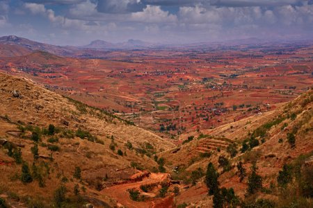 Photo for Destroyed landscape area in Madagascar. Fieds and villages without trees and forrst. Red Madagascar, landscape. Lookout view on the hills in Madagascar in Africa. Hot day in Africa. - Royalty Free Image