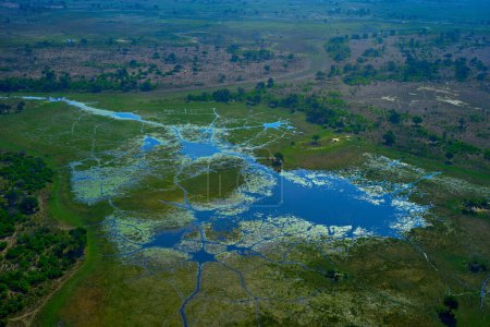 Foto de Lago Okavango. Viajar a Botswana. Africa aerial landscape, green river, Okavango delta in Botswana. Lagos y ríos, vista desde el avión. Bosque. vegetación en Sudáfrica. Árboles con agua en lluvia - Imagen libre de derechos