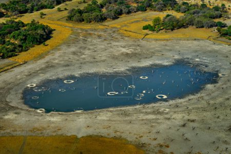 Foto de Africa aerial landscape, green river, Okavango delta in Botswana. Lagos y ríos, vista desde el avión. Bosque. vegetación en Sudáfrica. Árboles con agua en temporada de lluvias húmedas. Viajar en Botswana. - Imagen libre de derechos