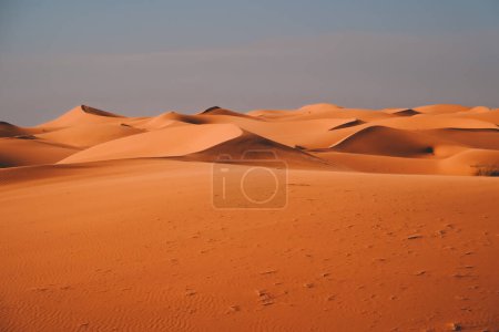 Téléchargez les photos : Dunes, désert du sahara, Maroc, Afrique, Merzouga - en image libre de droit