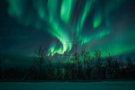 Photo for Aurora borealis over the arctic lights in the night sky - Royalty Free Image