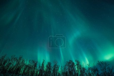 Photo for Aurora borealis, norway, scandinavia - Royalty Free Image