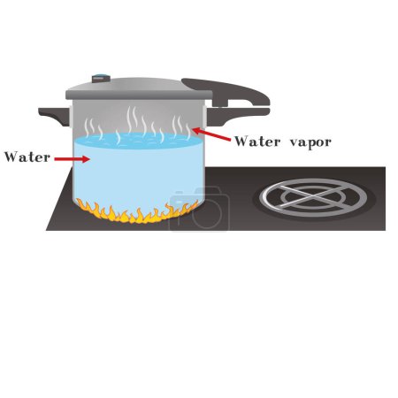 Illustration for Evaporation of water in a pressure cooker. pressure and buoyancy. Archimedes principle. evaporation of water. water mobility. simply drawn pressure cooker. Pressure and buoyancy. - Royalty Free Image