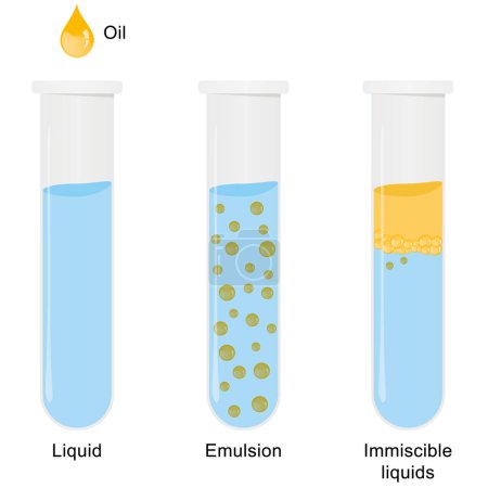 Téléchargez les illustrations : Illustration vectorielle de l'émulsion de deux liquides (huile et eau) dans des tubes isolés sur fond blanc - en licence libre de droit