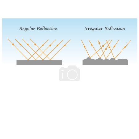 Vector illustration of regular reflection and irregular reflection of light.