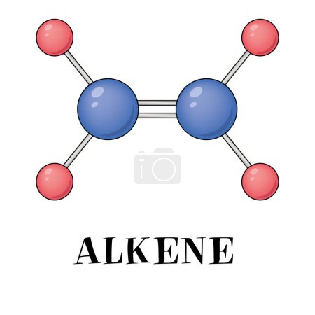 El compuesto químico del alqueno consiste en dos átomos de carbono unidos a cuatro átomos de hidrógeno. Es C2H4 con un doble enlace llamado etileno. Dibujo 3D.