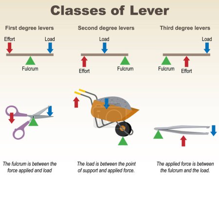 Physics. Force. Types of levers with various examples: scissors, tweezers, wheelbarrow. Vector illustration.