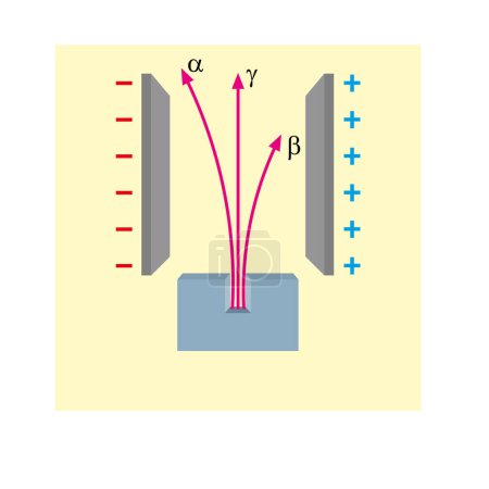 rayos alfa beta y gamma en el campo eléctrico