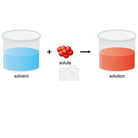 Illustration for Scheme of solubility in chemistry. Solvent and solution diagram. Vector illustration. - Royalty Free Image