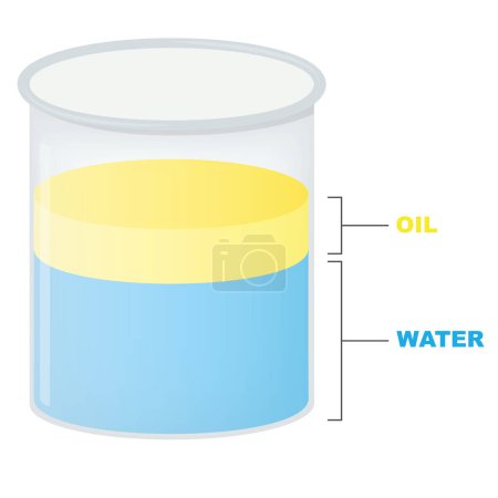 Téléchargez les illustrations : Vecteur eau et huile. L'huile d'olive flotte sur l'eau dans un bécher. L'huile et l'eau sont insolubles entre elles, et l'huile est moins dense que l'eau. - en licence libre de droit