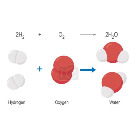 Illustration for Chemical reaction of hydrogen and oxygen. - Royalty Free Image