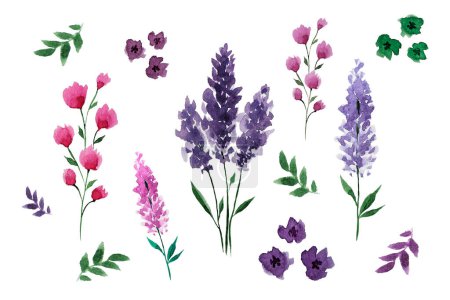 Foto de Drawn large watercolor flower set. Watercolor plants. Lavender. Floral set for creating invitation cards. To create patterns. Cosmetics. Product design. - Imagen libre de derechos