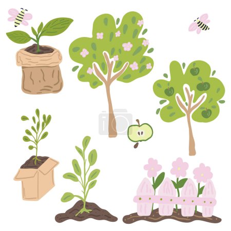 Árboles y plantas en crecimiento conjunto de diseño plano verde manzano. Ilustración vectorial