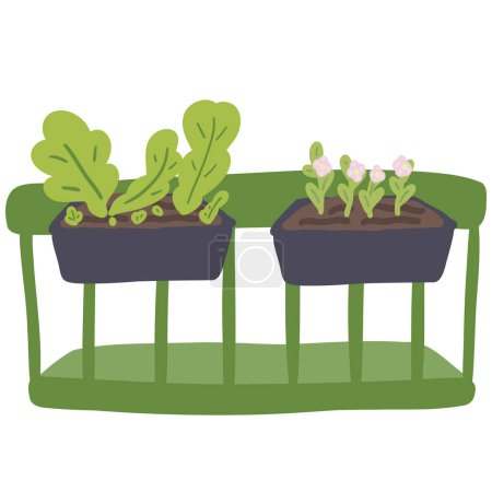Plants on a balcony flat design set . Vector illustration