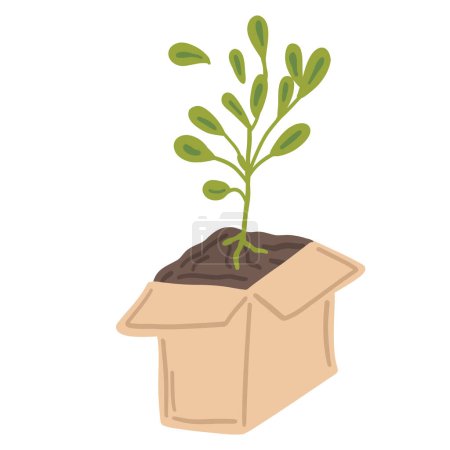 Isolated plant in a box flat design set grow your own. Vector illustration