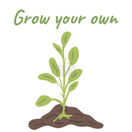 Growing plant grow your own flat design set with ground. Vector illustration