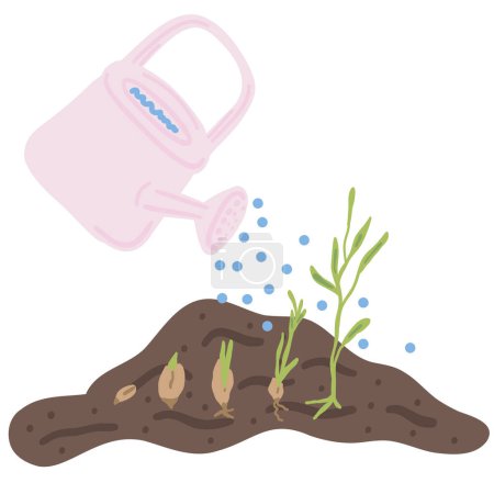 Growing plant flat design seed watering can . Vector illustration