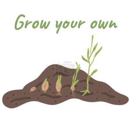 Cultiva tu propio conjunto de plantas en crecimiento. Ilustración vectorial