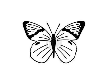 Illustration for Monochrome butterfly silhouette cut out black. Vector illustration - Royalty Free Image