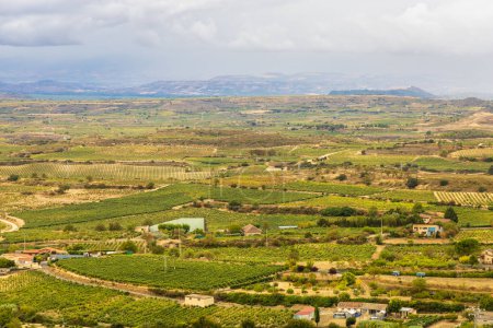 An aerial view of the vibrant green vineyards and fields surrounding the town of Laguardia in Rioja Alavesa, with mountains in the distance. Alava, Basque Country, Spain.
