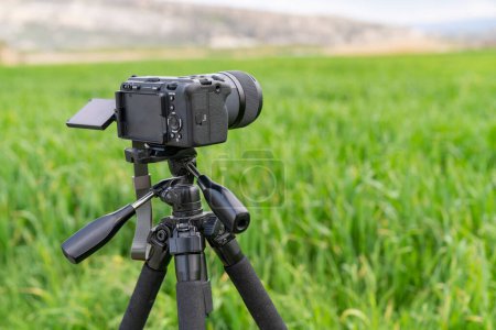 Photo for Professional video camera with a tripod on the background of the grass - Royalty Free Image