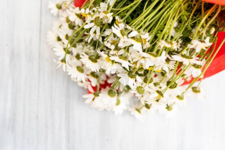 Téléchargez les photos : Bouquet de marguerites sur la table. Pharmacie camomille. - en image libre de droit