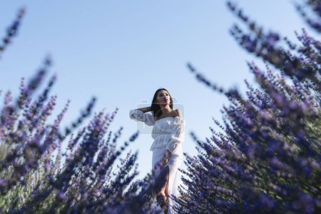Téléchargez les photos : Belle femme dans le champ de fleurs de lavande - en image libre de droit