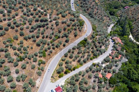Photo for An aerial view of the highway surrounded by trees - Royalty Free Image