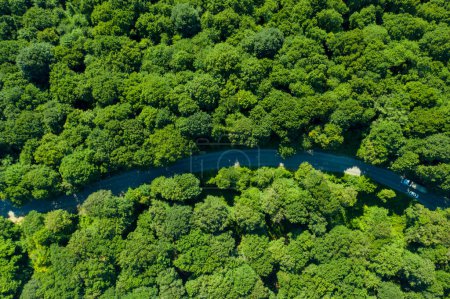 Téléchargez les photos : Une vue aérienne de l'autoroute entourée d'arbres - en image libre de droit