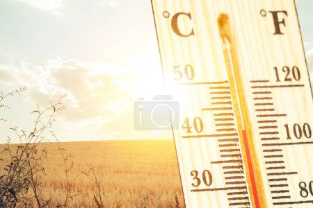 Photo for Thermometer in the sun and field on nature background - Royalty Free Image