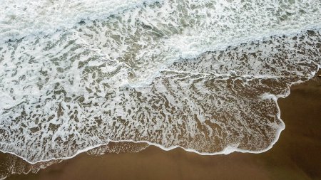 Photo for Aerial drone view of a beach in a summer day - Royalty Free Image