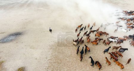 Téléchargez les photos : Un troupeau de chevaux court à travers un champ de sable. vue aérienne d'un troupeau de chevaux - en image libre de droit