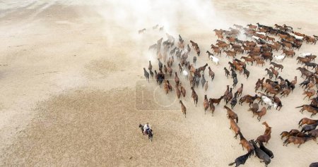 A herd of horses is running across a sandy field. aerial view of a herd of horses