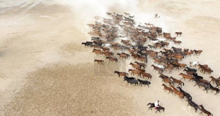 Foto de Una manada de caballos está corriendo a través de un campo de arena. vista aérea de una manada de caballos - Imagen libre de derechos