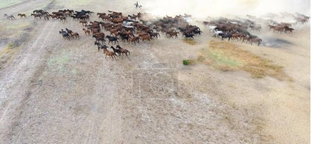 Una manada de caballos está corriendo a través de un campo de arena. vista aérea de una manada de caballos