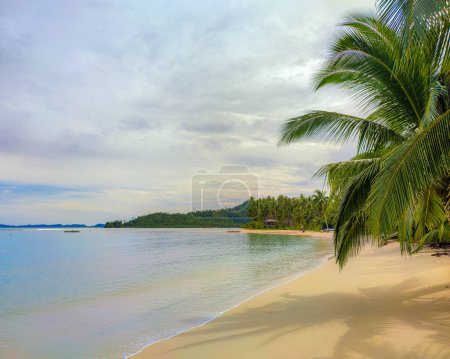 Foto de Increíble playa en Palawan - Imagen libre de derechos