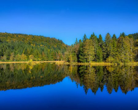 Foto de Impresionante paisaje en el lago Lispach cerca de Gerardmer - Imagen libre de derechos
