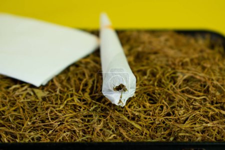 Photo for Hand rolled cigarette handmade and  tobacco on yellow background - Royalty Free Image