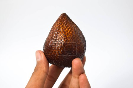 Foto de Mano Hold Snakefruit aislado en backgorund blanqueado - Imagen libre de derechos