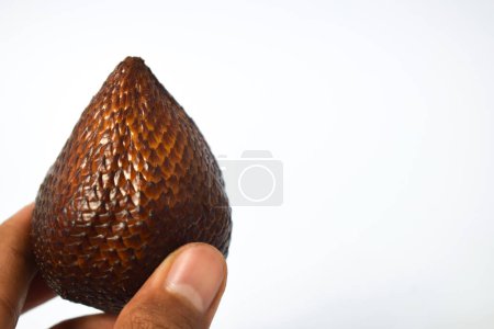 Foto de Mano Hold Snakefruit aislado en backgorund blanqueado - Imagen libre de derechos
