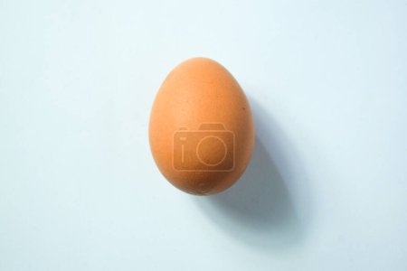 Photo for Isolated Chicken Single Chicken egg on white background - Royalty Free Image