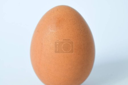 Foto de Huevo de pollo individual aislado sobre fondo blanco - Imagen libre de derechos