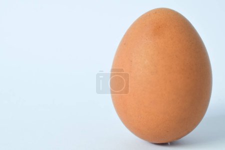 Photo for Isolated Chicken Single Chicken egg on white background - Royalty Free Image